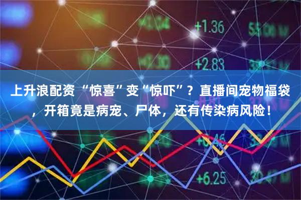 上升浪配资 “惊喜”变“惊吓”？直播间宠物福袋，开箱竟是病宠、尸体，还有传染病风险！