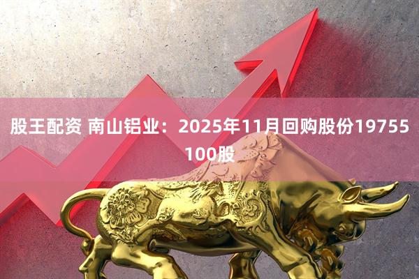 股王配资 南山铝业：2025年11月回购股份19755100股