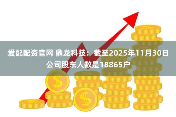 爱配配资官网 鼎龙科技：截至2025年11月30日公司股东人数是18865户