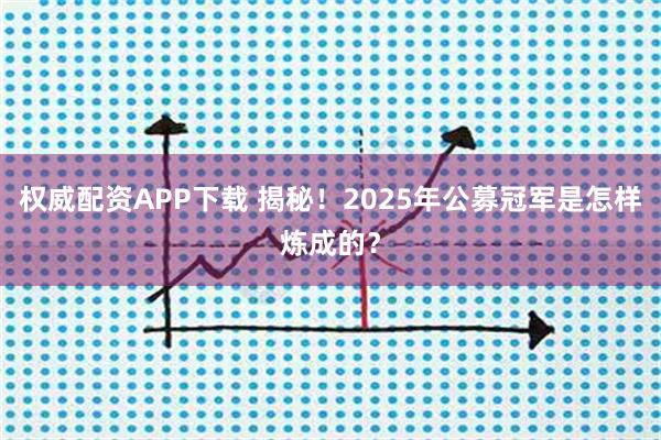 权威配资APP下载 揭秘！2025年公募冠军是怎样炼成的？